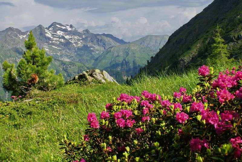 Datei:Im hüttkar 39665 2012-06-29.jpg