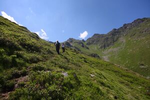 Innere alm 1525 2011-07-10.jpg