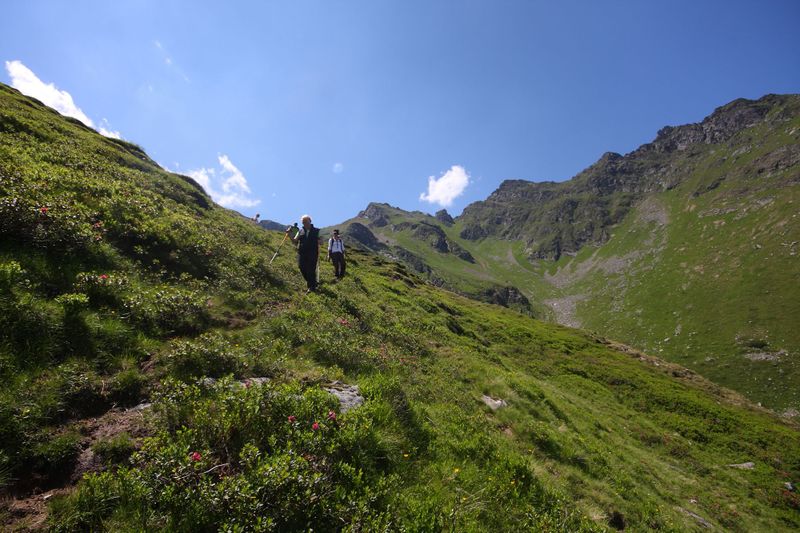 Datei:Innere alm 1525 2011-07-10.jpg