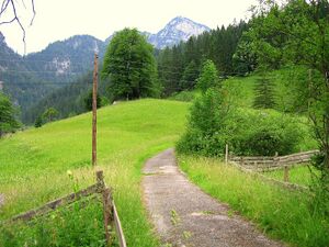 Kapelle Hinterwildalpen0250.jpg