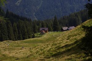 Knallalm 32822 2016-08-17.jpg