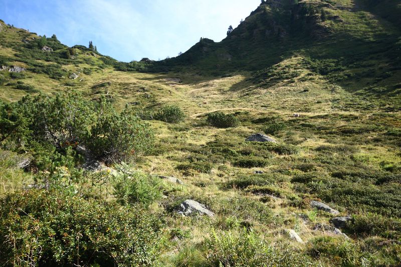 Datei:Lassachalm (Alm) 02517 2015-08-28.jpg