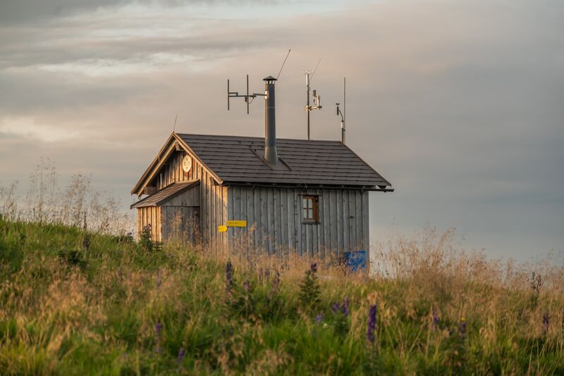 Datei:Manuel Capellari CAP19082505502613941394.jpg
