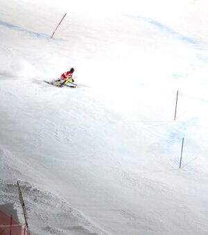 Meillard Slalom 1TG-0243-2025-01-29.jpg