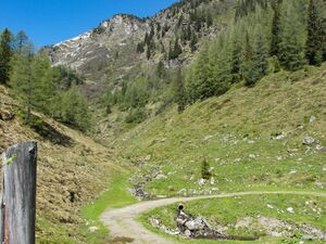 Moseralm, mosergrabenbach-12-2007-05-19-2.jpg
