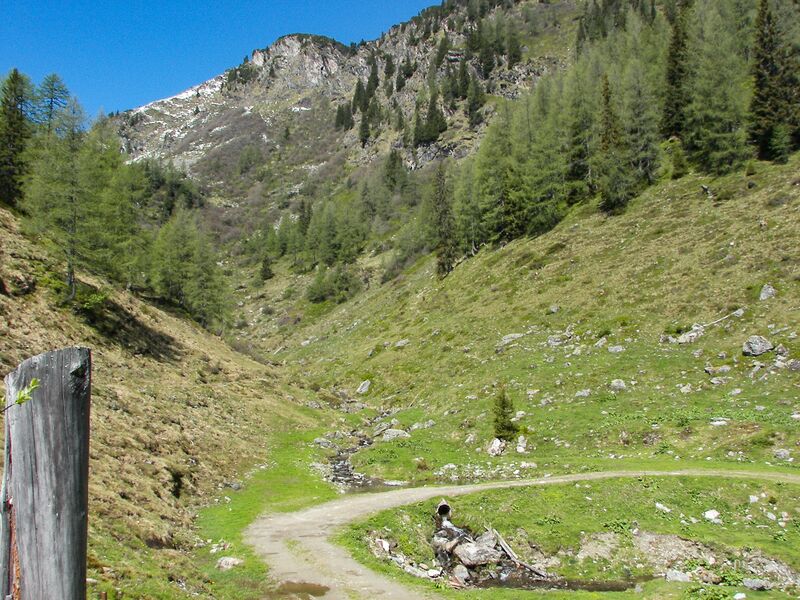 Datei:Moseralm, mosergrabenbach-12-2007-05-19-2.jpg