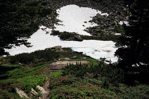Obersee -reiteralm 02748 2019-06-28.jpg