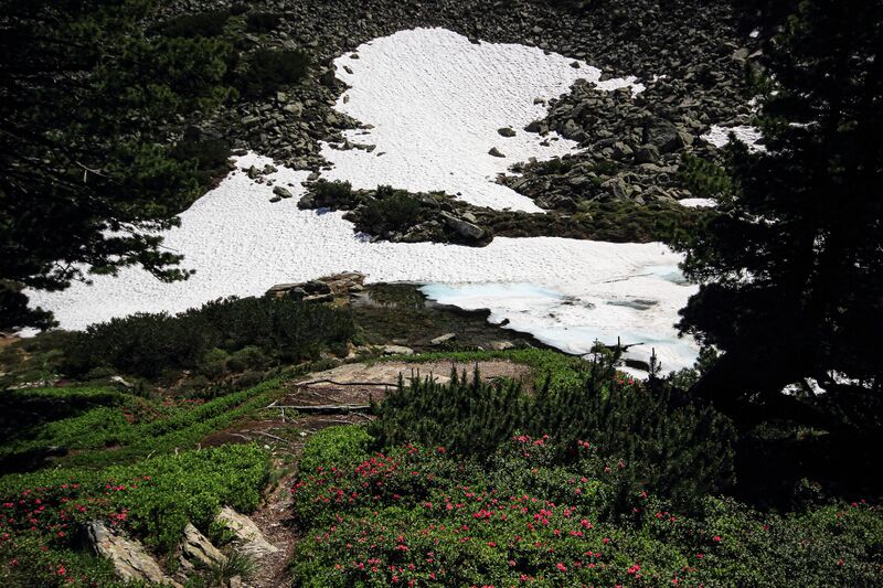 Datei:Obersee -reiteralm 02748 2019-06-28.jpg