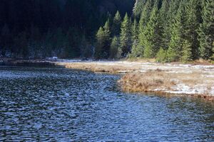 Spechtensee 62892 2017-10-31.jpg