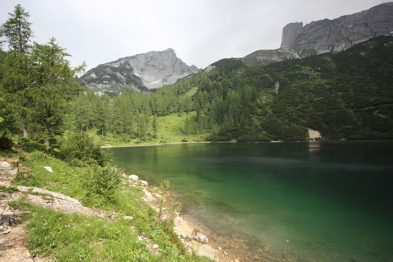 Datei:Steirersee südufer 51310 2017-06-24.jpg