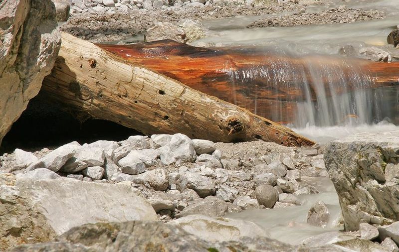 Datei:10252074 802914163063066 3928836912007973398 n.jpg