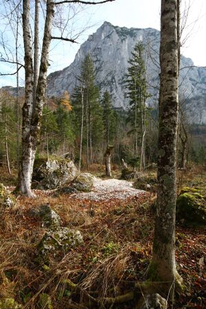 Altaussee seewiese 79067 2014-11-15.jpg