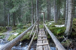 Bruecke Obertalbach.jpg