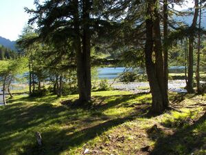 Duisitzkarsee 16007 2006-07-03.jpg