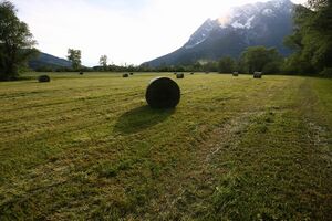 Enns-Altarme Niederstuttern 58386 2014-05-21.jpg