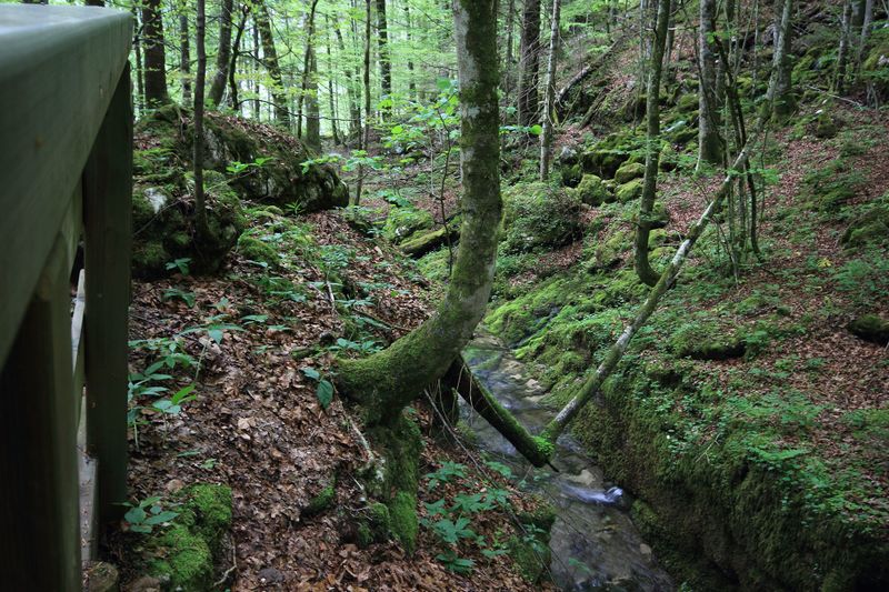 Datei:Flößereidurchbruch kammersee 47004 2017-05-17.jpg