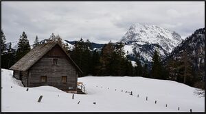 Hochscheibenalm05.JPG