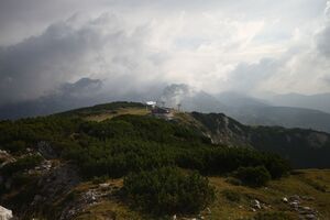 Kriemandl tauplitzalm 34712 2016-09-26.jpg