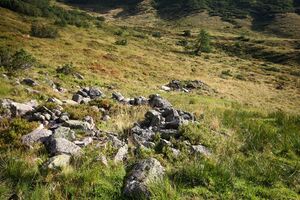 Lassachalm (Alm) 02508 2015-08-28.jpg