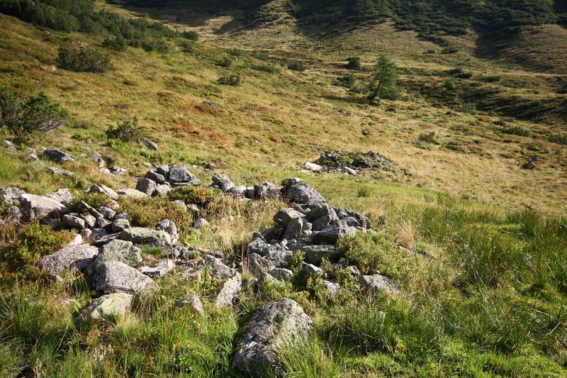 Datei:Lassachalm (Alm) 02508 2015-08-28.jpg