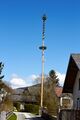 Maibaum-salza-Ort-0030-2023-04-30.jpg