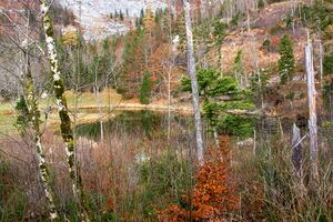 Ostersee Altaussee 79094 2014-11-15.jpg