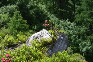 Schobersee 93173 2015-06-26.jpg