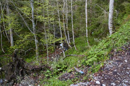 Stubegggraben-0017-2021-05-24 07.12.16.jpg