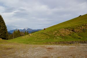 Stubeggsattel-0169-2021-05-24 07.48.52.jpg