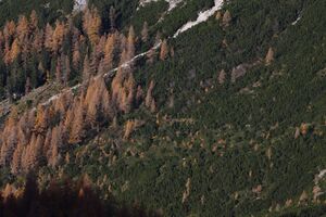 Totensteig -auritzkar 11893 2015-11-04.jpg