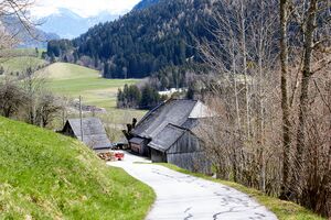 Vlg Haberl krungl-3000470-2023-04-22.jpg