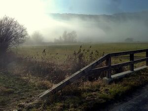 Ennsau Liezen40917.JPG