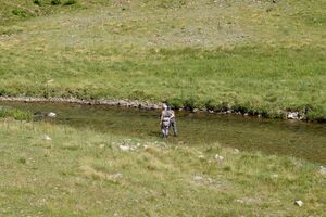 Fliegenfischer schwarzenseebach-0184-2025-07-02.jpg