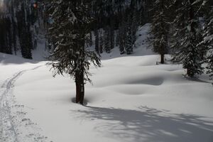 Große wiesmahd 80434 2015-01-07.jpg