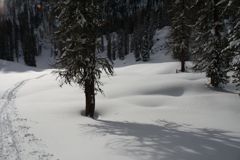 Datei:Große wiesmahd 80434 2015-01-07.jpg