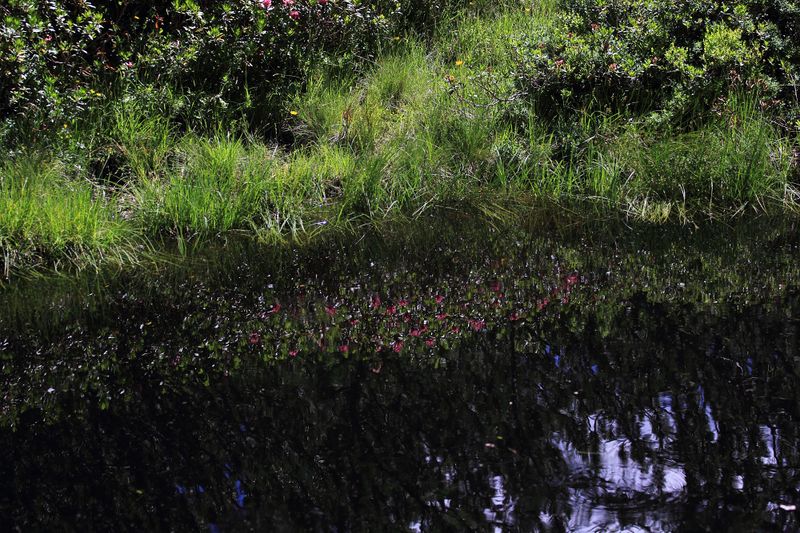 Datei:Gumpenkar 53181 2017-07-05.jpg