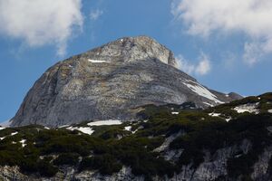Hochweiß langkar 20-05-07 1395.jpg