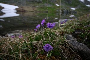 Im hüttkar 39660 2012-06-29.jpg