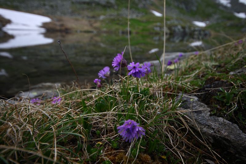 Datei:Im hüttkar 39660 2012-06-29.jpg