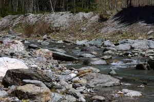 Kalte mandling013.jpg