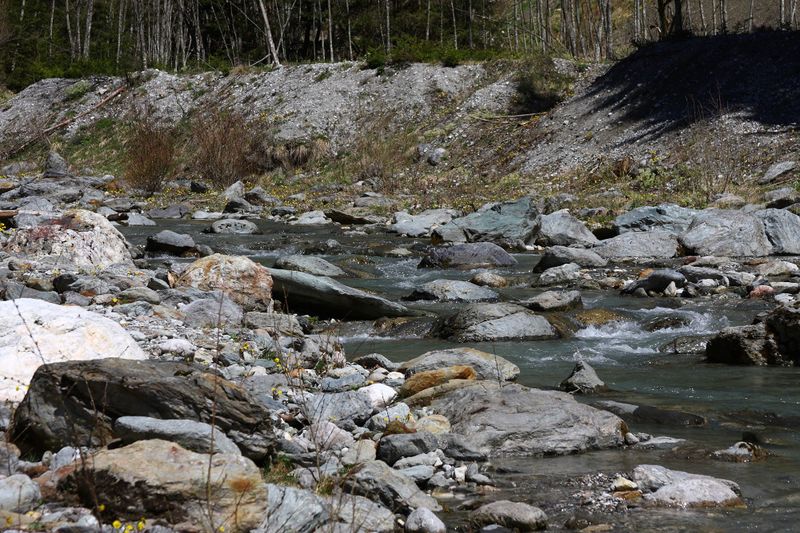 Datei:Kalte mandling013.jpg