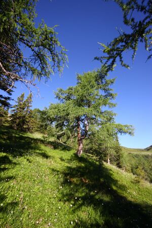 Klockalm 57765 2015-07-11.jpg