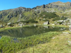 Mittlere Kaltenbachsee 18076 2006-09-10.jpg