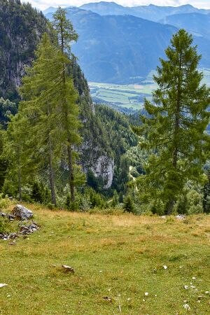Niedertausing-bärenfeichtenalm-30-2021-08-03.jpg