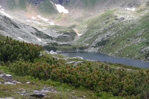 Schimpelsee 881 13-06-27.jpg