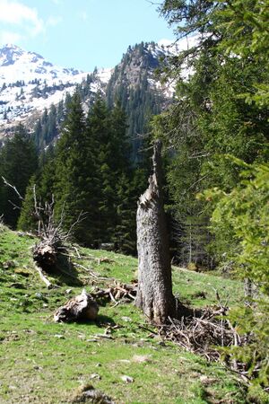 Strickerkar 55618 2014-05-02.jpg