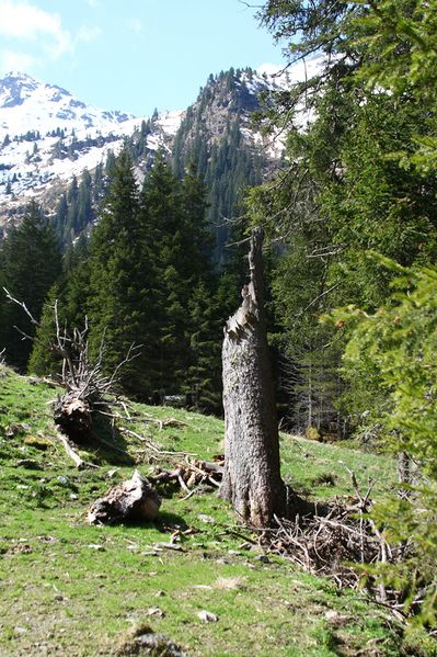 Datei:Strickerkar 55618 2014-05-02.jpg