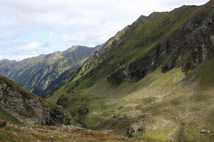 Zirbenböden graunock 56085 2017-08-22.jpg