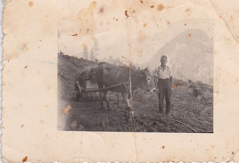 Datei:Almen und Liezen 0010.jpg