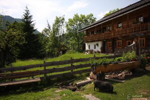 Burgstaller 9753.jpg